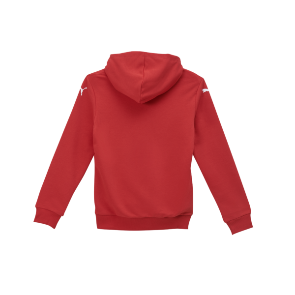 Der THW Kiel Graphic Hoodie Jr Red ist ein schlichter roter Kapuzenpulli von hinten gesehen, mit langen Ärmeln und gerippten Bündchen und Saum. Kleine weiße Puma-Logos befinden sich auf beiden Ärmeln in der Nähe der Schultern, ideal für jeden Vereinsausflug.